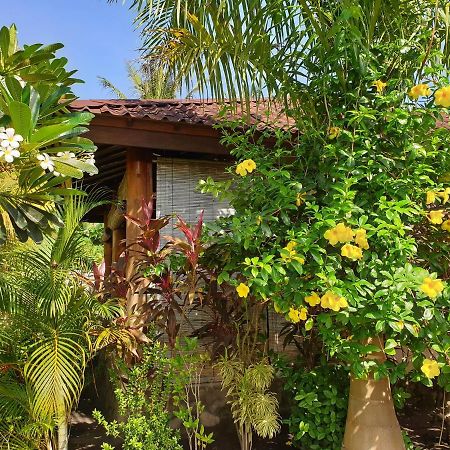 Waiara Village Guesthouse Maumere Exteriör bild