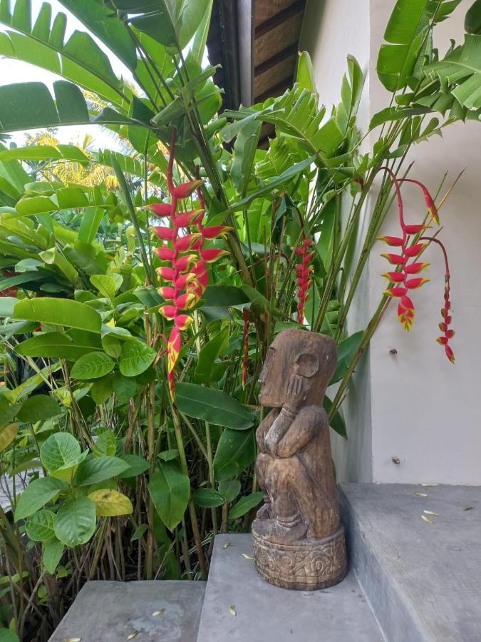 Waiara Village Guesthouse Maumere Exteriör bild